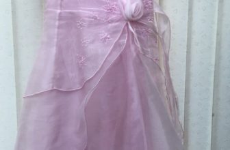 Girl’s Ladybird Party Dress, Size 7-8 Years