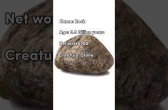 Rock vs The Rock #shorts #memes