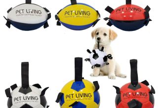 Football, Rugby Ball For Dog Toys Puppy large Dogs Outdoor Training Pets Game