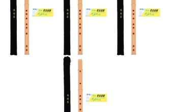 4 Pack Kids Musical Instruments Beginner Beginners Woodwind Accessories