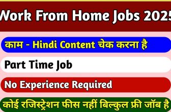Work From Home Jobs 2025 | Part Time Jobs For Students | Welocalize Company Job | Data Entry Job