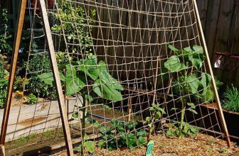 Jute Pea Bean Netting Heavy Duty Natural Biodegradable Plant Support Garden Net