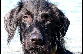 she drives me to worry