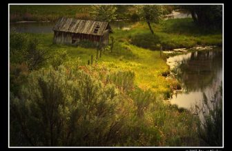 Awakening – Forgotten Filters