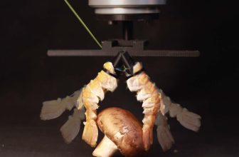 Lobster shells become strong, flexible fingers for bio-derived robots