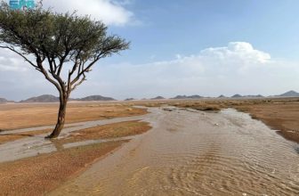 Civil Defense: Thunderstorms expected across Saudi Arabia from Sunday to Thursday