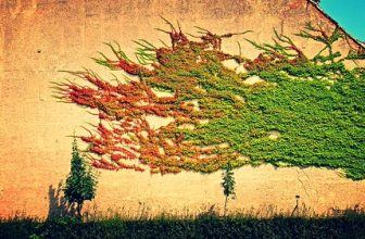 la flamme du dragon…