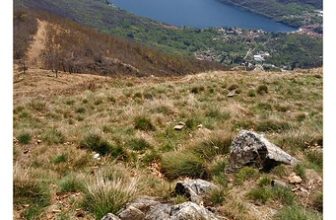 Small Lake, Big Lake