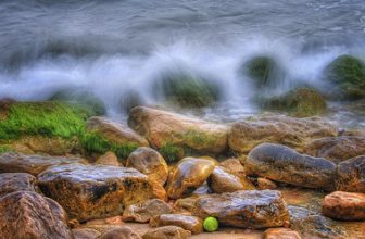 (013/19) Detalle en la Cala de la Almadraba