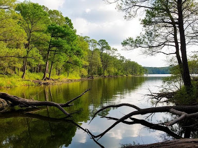 Comprehensive Visitor Guide to Caddo Lake State Park, Texas Caddo Lake State Park, Texas