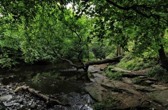 Derwent Walk Country Park, River Derwent, Gateshead, Tyne & Wear, England.