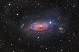 OUR HOUSE / CARRY ON / TIME AFTER TIME / EVERYBODY I LOVE YOU / FASHION / REBEL REBEL / LOVING THE ALIEN / SCARY MONSTERS / LOOK BACK IN ANGER / MODERN LOVE / UNDERGROUND / AS THE WORLD FALLS DOWN / NEVER LET ME DOWN / WITHIN YOU / THIS IS NOT AMERICA / T