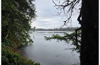 Westwood Ice – 7 images – Samsung Galaxy S24 Ultra