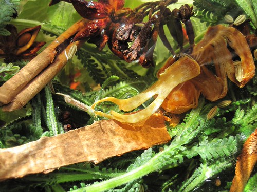 Bitters Project 2011