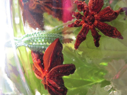 Bitters Project 2011