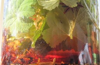 Bitters Project 2011