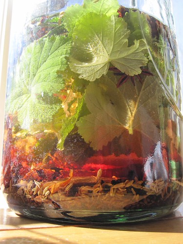 Bitters Project 2011