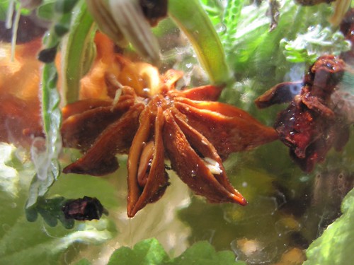 Bitters Project 2011