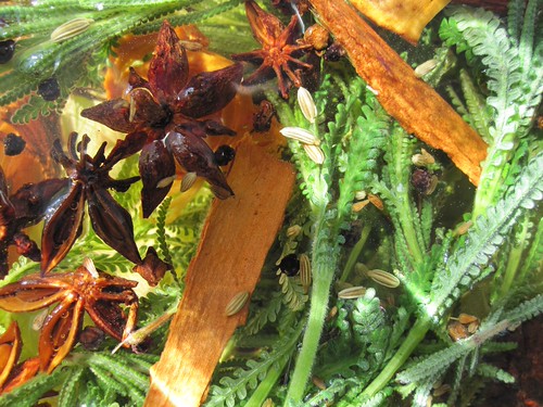 Bitters Project 2011