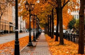 301813fb720e4eaf8806779dab86f882 (2)