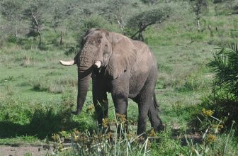 A Wink and a Smile [Explored]