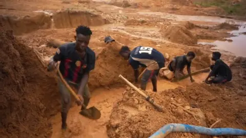 David Wilkins / BBC A group of four people are working in a muddy channel where they are digging and looking for gold.