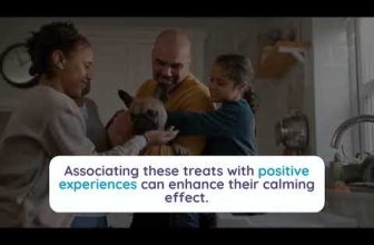 How to Keep Your Furry Friend Relaxed