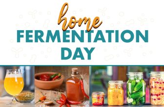 Celebrate Home Fermentation Day