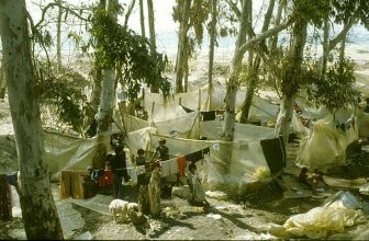 Work Without Rights: The Welfare Crisis of Palestinian Refugees in Lebanon