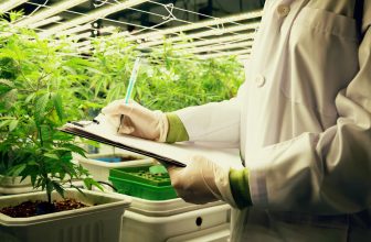 The secrets to making cannabis cultivation profitable