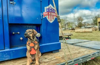 Well, Well, Well, What Have We Here? The Well Done Foundation’s Canine Teammate – Dogster