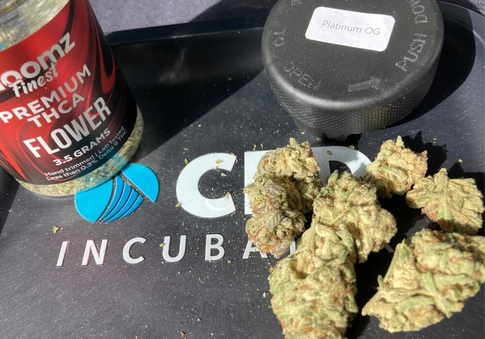 Bloomz Platinum OG THCa flower (1)