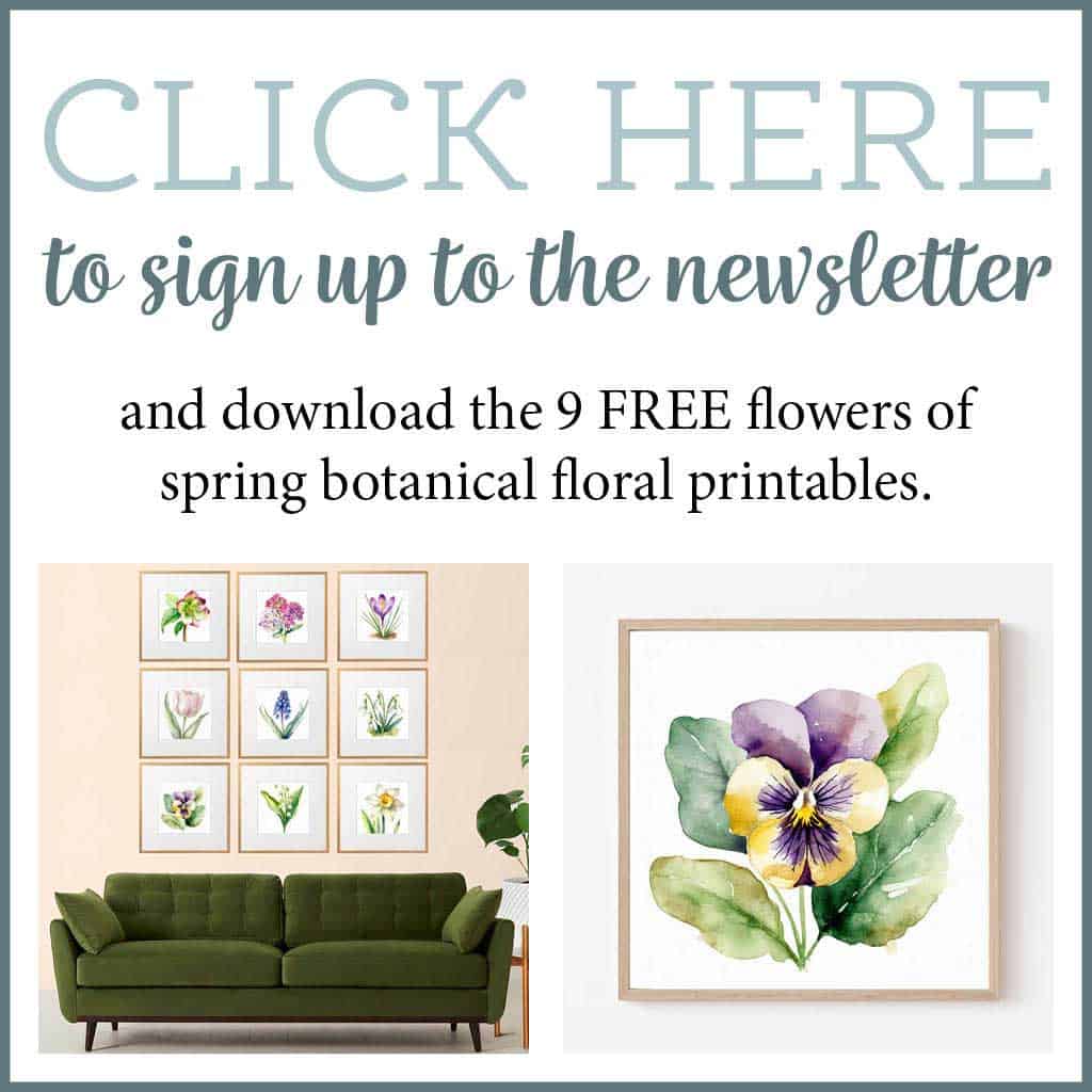 Download 9 Free Botanical Floral Drawings: Flowers of the Spring Season.