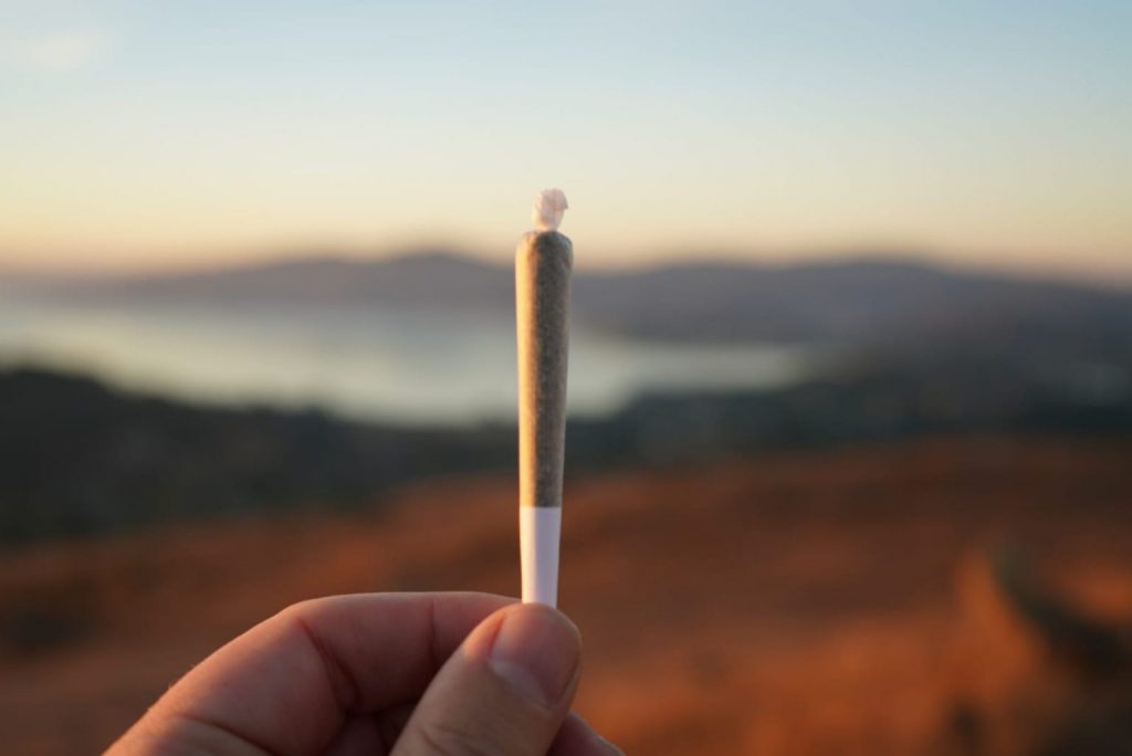 CBD pre roll 1536x1026 2