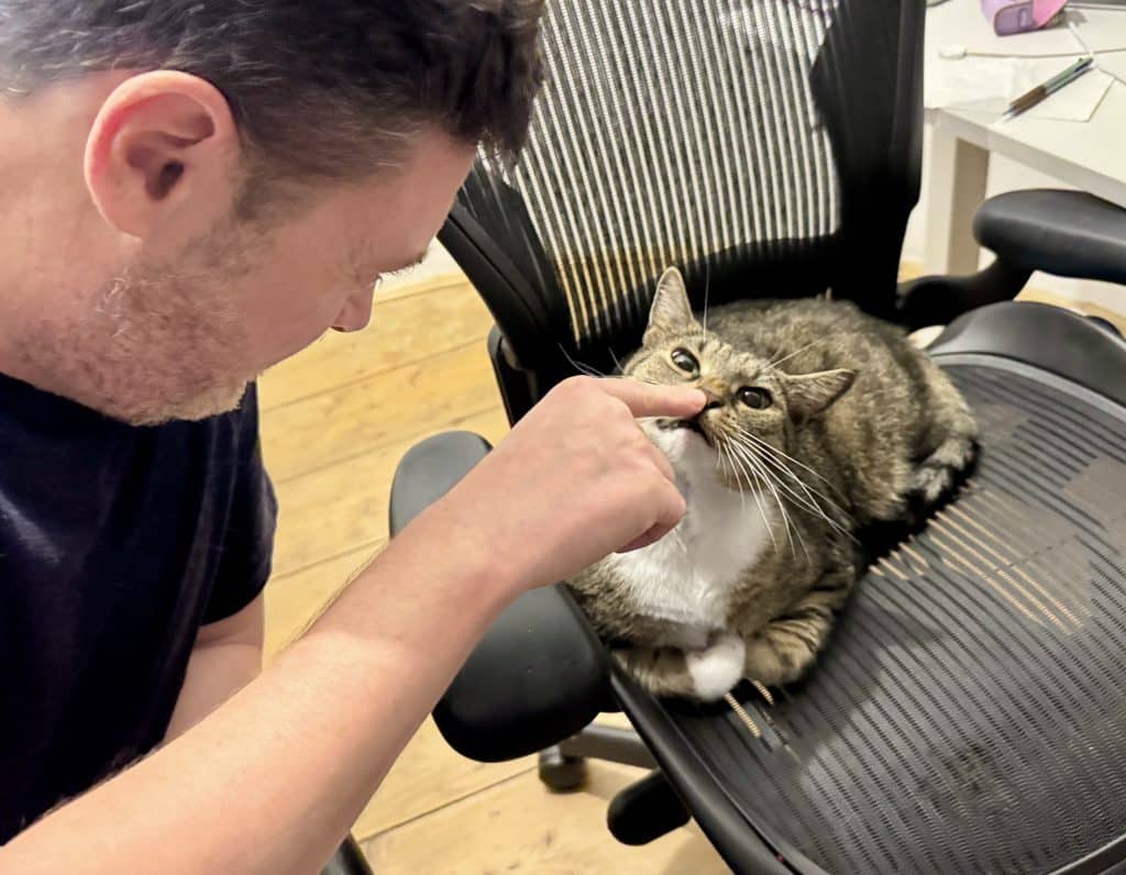 Charlie poking Murray the cat on his nose and Murray making a funny face.