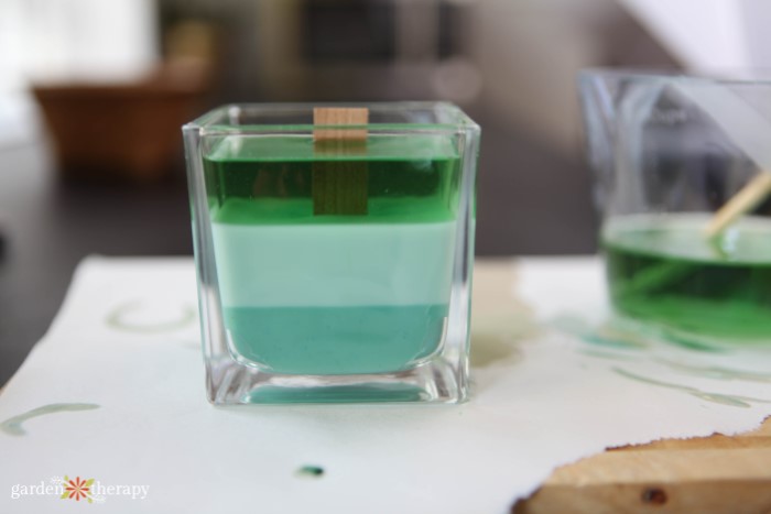 DIY evergreen candle
