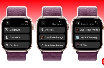Can you use YouTube Music offline on Apple Watch?