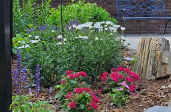 Angela’s Summer Flowers in North Carolina