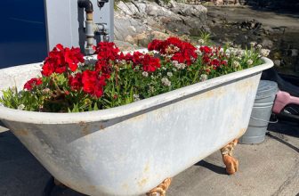 An Exciting GPOD Update – Fine Gardening