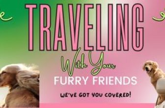 Traveling with Pets: Managing Stress and Anxiety with CBD