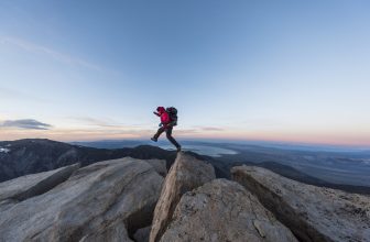 How Clients’ Investment Goals Reflect Risk Behavior and Hidden Biases