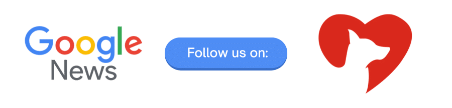 Google News Follow Us button