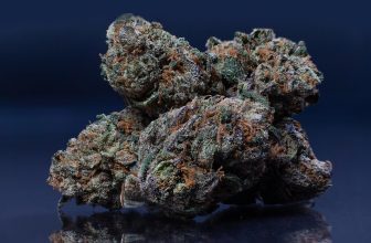 #8 Best High THCa Flower 2025