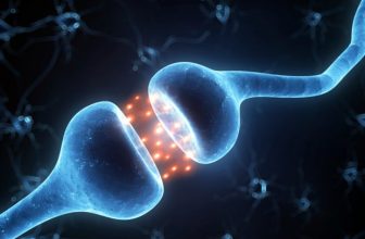 Study links endocrine-disrupting chemicals to hidradenitis suppurativa