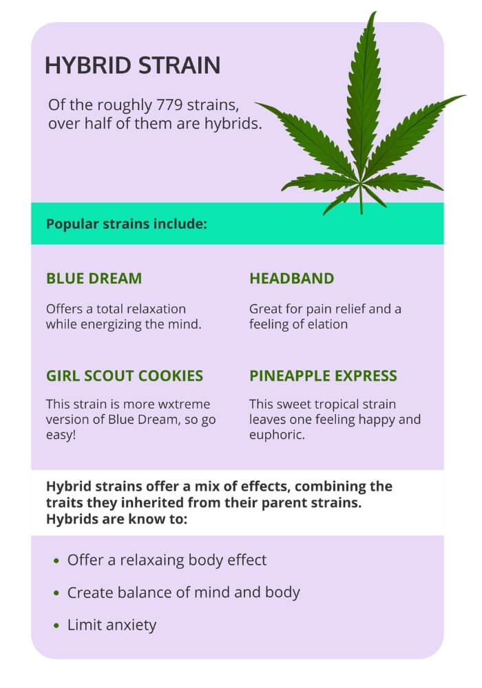 Hybrid Strains Chart - Indica vs Sativa vs Hybrid: (mis)understanding cannabis terminology Hybrid Strains Chart