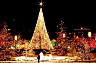 13 Most Famous Festivals in December in India