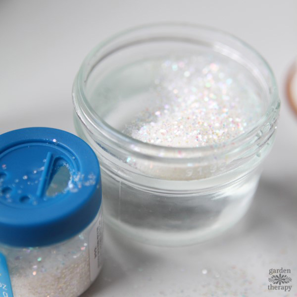 Make a mini garden snow globe.