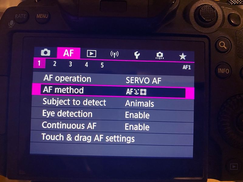 Eye-Tracking Autofocus