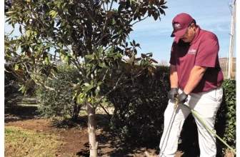 How add-on services drive growth and retention