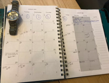 A phone sits on a diary featuring written entries